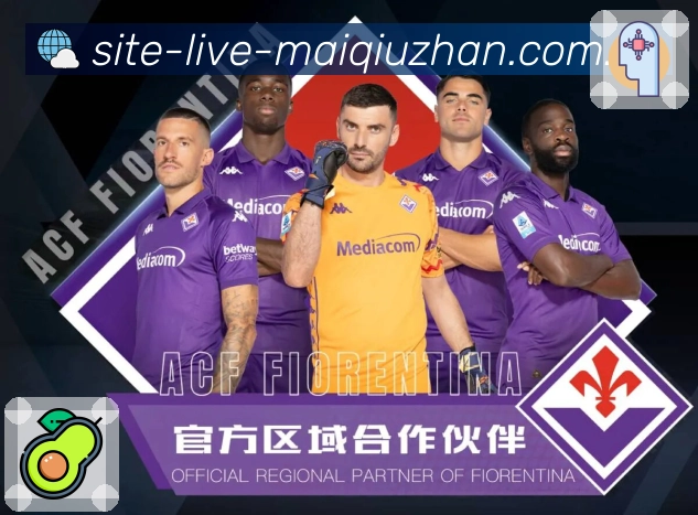 买球站 世界杯足球赛事资讯配图